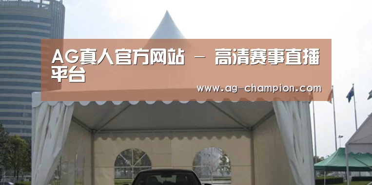 案例标题八