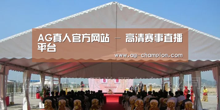 案例标题三