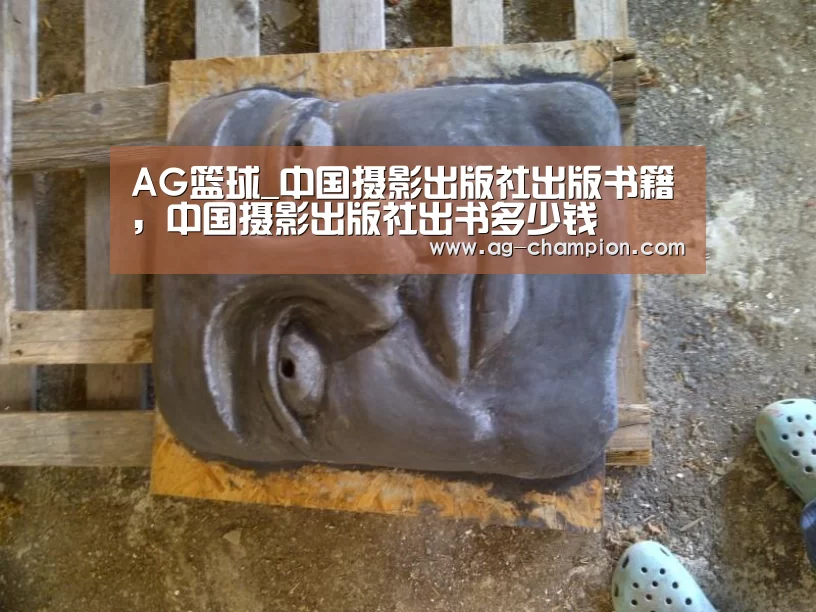 AG篮球_中国摄影出版社出版书籍,中国摄影出版社出书多少钱(图3) AG赛事